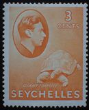 [Local Motives - Aldabra Giant Tortoise, type V1]