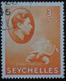 [Local Motives - Aldabra Giant Tortoise, type V1]