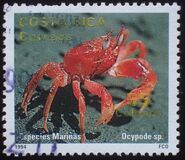 [Marine Life, Typ AMF]