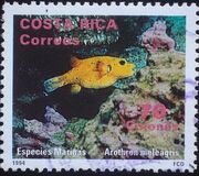 [Marine Life, Typ AMG]