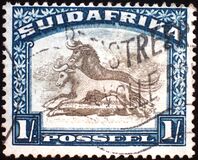 [Local Motives - Country name in English or Afrikaans, type AN]