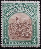 [Landscapes, type AE]