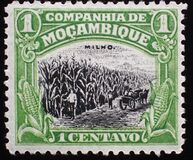 [Landcapes, Scrivi O2]