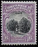 [Landcapes, Scrivi AF1]