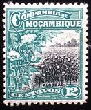 [Landcapes, Scrivi U2]