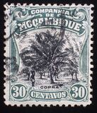 [Landcapes, Scrivi Y1]