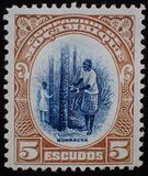 [Landscapes, Typ AI]