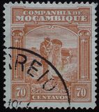 [Local Motifs, 类型 AM]