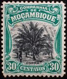 [Local Motifs, 类型 Y2]