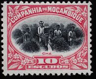 [Landscapes, Typ AJ]