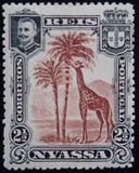 [Giraffe, type C]