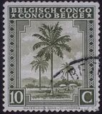 [Inscription: "BELGISCH CONGO - CONGO BELGE", veids DC]
