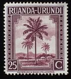 [Local Motifs - Palm Trees, тип AF3]