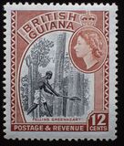 [Local Motives, тип CA]