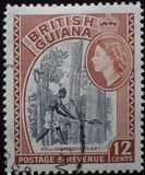 [Local Motives, тип CA]