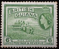 [Local Motives, тип BY]