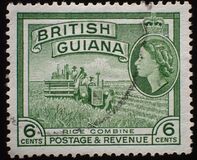 [Local Motives, тип BY]