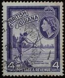 [Local Motives, тип BW]