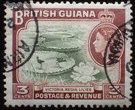 [Local Motives, тип BV]