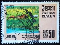 [Wildlife, タイプ GD]