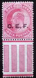 [King Edward VII - India Postage Stamps of 1902 Overprinted "C. E. F.", type C1]
