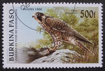 [Birds, type OO]