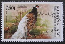 [Birds, type OP]