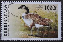 [Birds, type OQ]