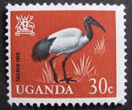 [Birds, type AC]