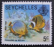 [Marine Life, type HX]