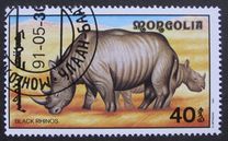 [African Wildlife, tip CCN]