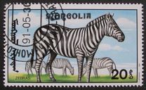 [African Wildlife, tip CCL]