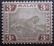 [Tiger, type C1]