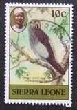 [Birds, प्रकार FE]
