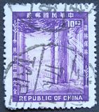 [Afforestation Day, type AC]