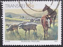 [Xhosa Culture, type GT]