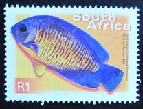 [Fauna and Flora - Fish, type ASS]