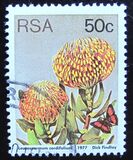 [Flora - Protea Plants, type PU1]