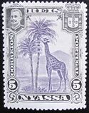 [Giraffe, type C1]