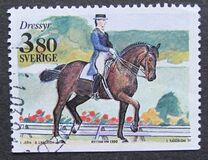 [World Equestrian Games, 类型 AOY]