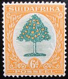[Definitive Issue - "SOUTH AFRICA" or "SUIDAFRIKA", type G1]
