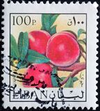[Airmail - Flowers and Fruits, 類型 TT]