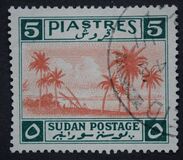 [Palm Trees, típus P3]
