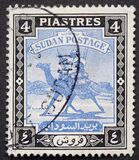 [Camel Postman - New Arabic Inscription, type R2]
