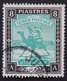 [Camel Postman - New Arabic Inscription, type R5]
