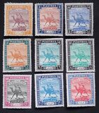 [Camel Postman - New Arabic Inscription, type R]