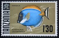 [Marine Life - Fish, tyyppi AA]