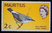 [Birds & Elizabeth II, տեսակ CV]