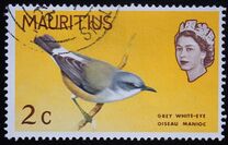 [Birds & Elizabeth II, տեսակ CV]