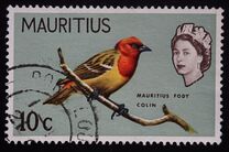 [Birds & Elizabeth II, տեսակ CZ]